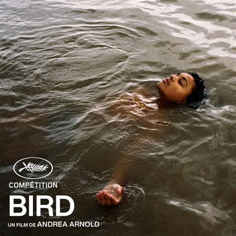 Bird (2024) .